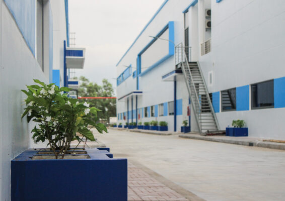 Hình ảnh thực tế